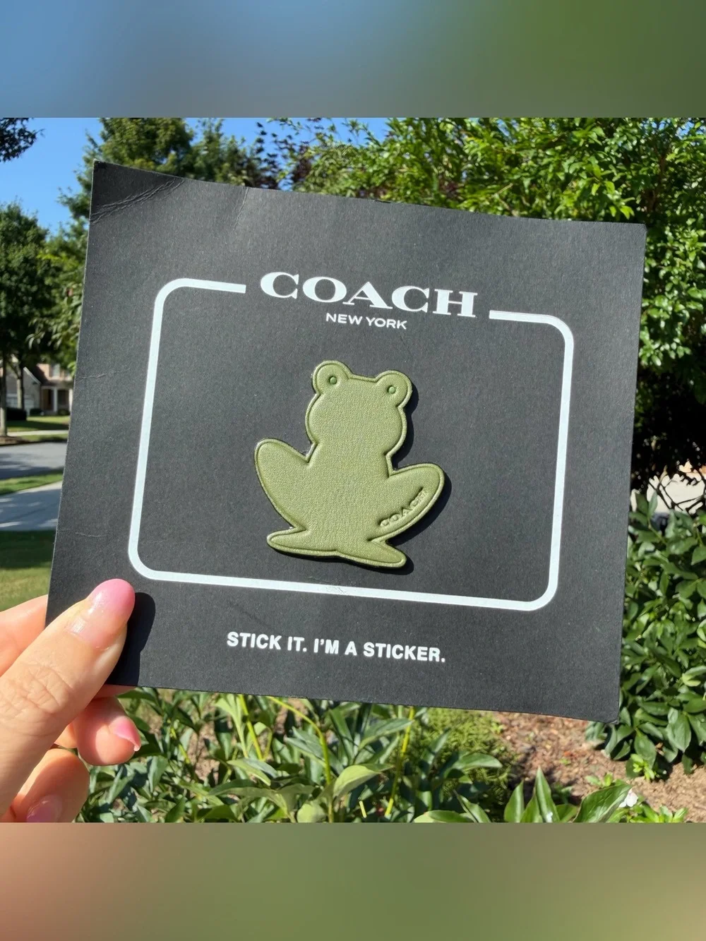 New Coach Green Leather Frog Sticker Decal 24048